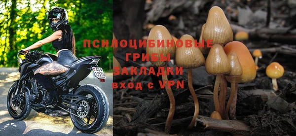 молекула духа Алексеевка