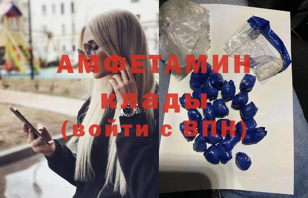 молекула духа Алексеевка