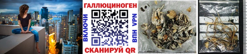 Псилоцибиновые грибы прущие грибы  купить наркотики сайты  Луза 