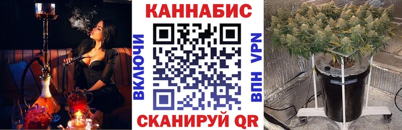 Каннабис план  kraken ONION  Луза 